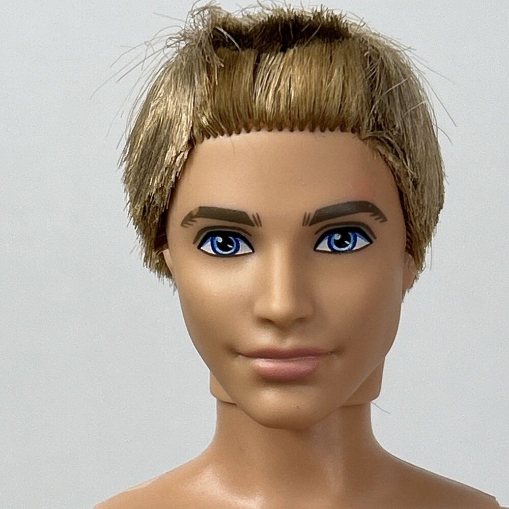 Ryan Ken Barbie Doll Life in the Dreamhouse Blonde Rooted Articulated Fashionist